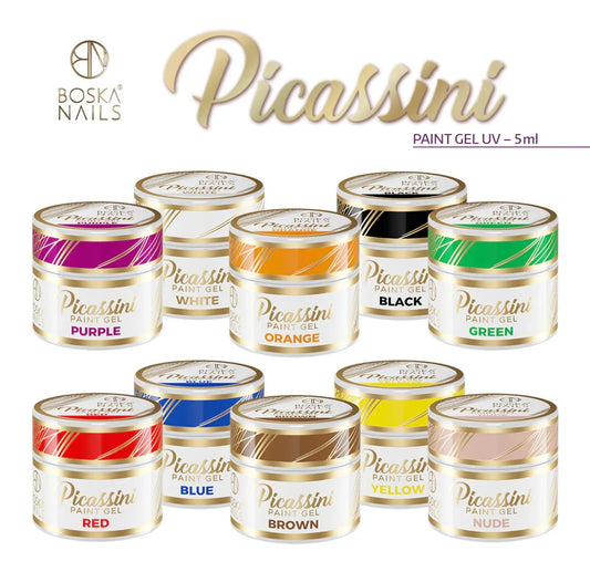 PACK DE 10 COLORES PICASSINI PAINT GEL BOSKA NAILS